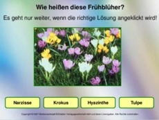 Frühlingsblüten-erkennen-1.pdf
